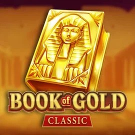 game logo by Playson on slotrizee.it